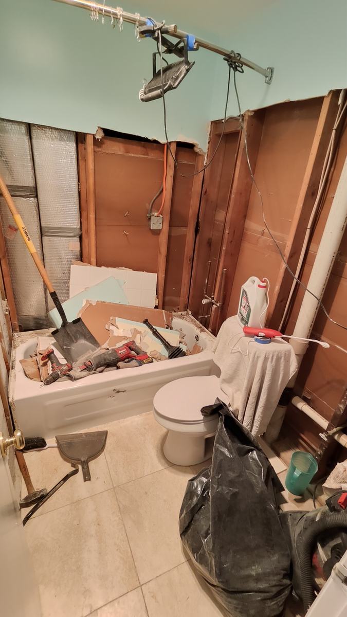 Bathroom remodel — demolition and rebuild phase