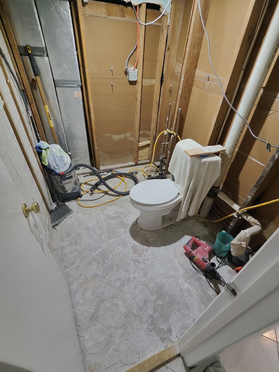Bathroom remodel — demolition and rebuild phase