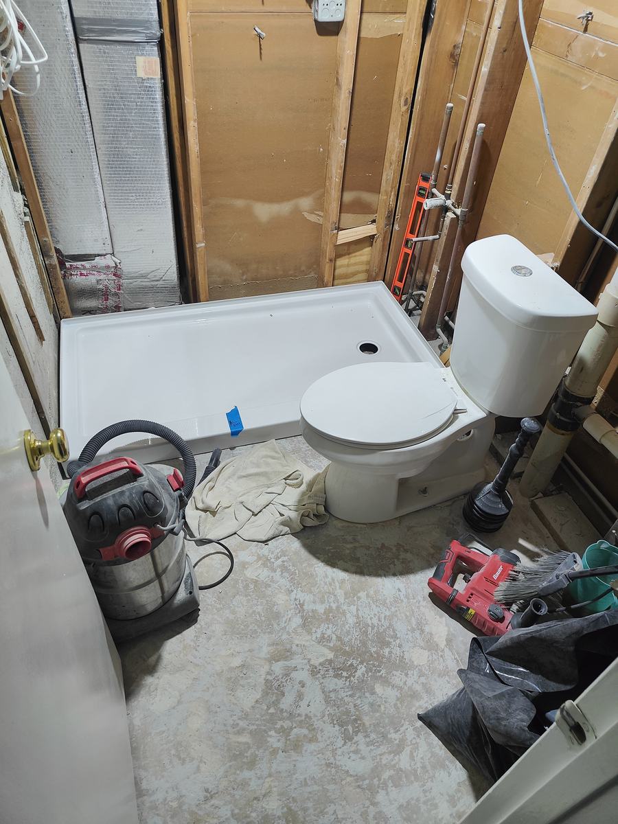 Bathroom remodel — demolition and rebuild phase