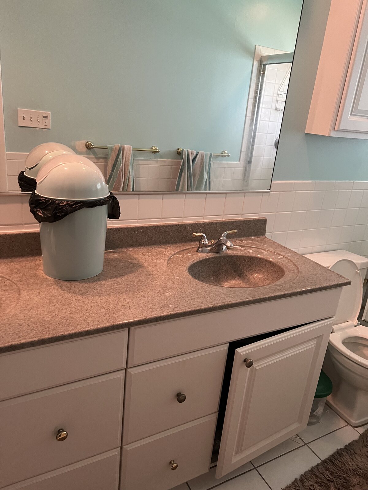 Bathroom before – vanity and mirror