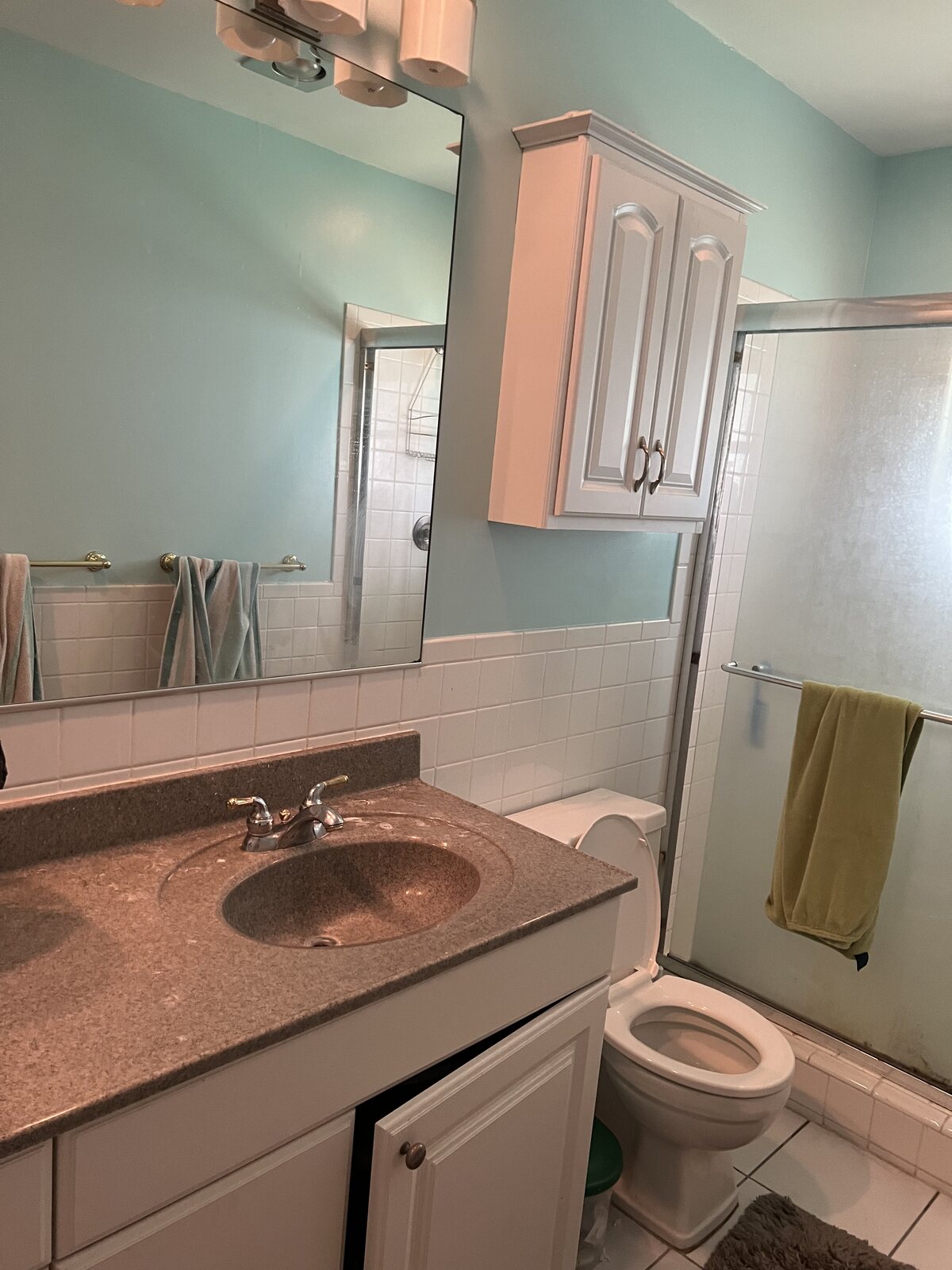 Bathroom before – vanity and shower view