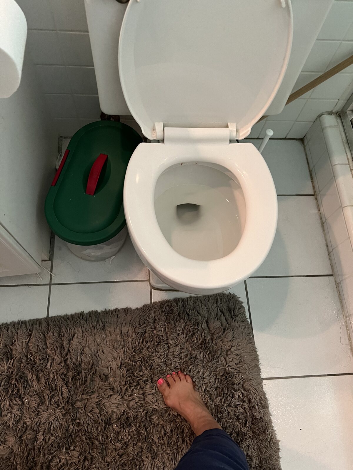 Bathroom before – toilet and tile floor